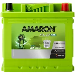 Amaron Flo Din60
